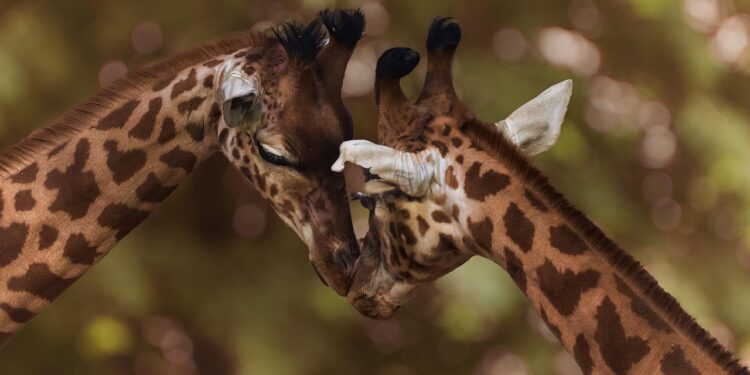 The Ultimate Collection of Funny Quotes to Make You Laugh: 25 Gems