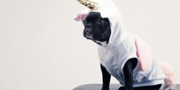 20 Hilarious Funny Quotes for Friends to Share on Social Media