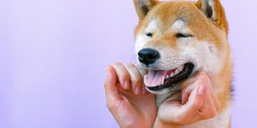 10 Hilarious Funny Quotes for Status That Will Brighten Your Day